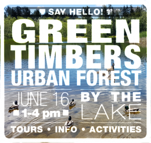 Say Hello to Green Timbers June 16, 2109